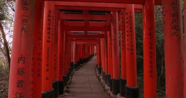 Fushimi Inari Taisha torii poorten — Stockvideo