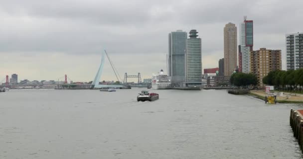 Rotterdam excursión en barco turístico — Vídeo de stock