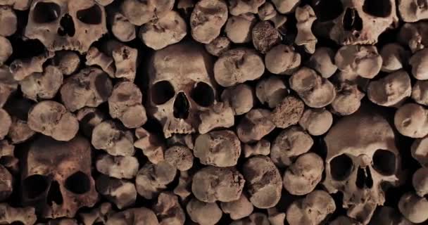 Koponya és csont a falban — Stock videók