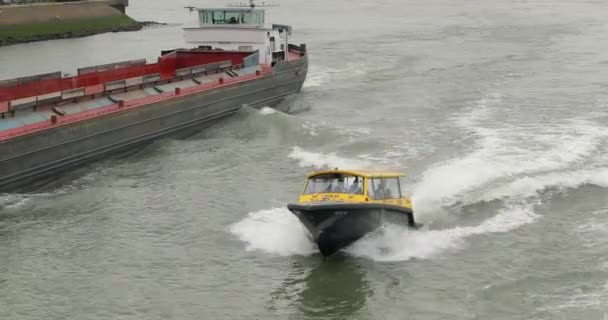 Роттердамское водное такси пересекает воды между грузовыми кораблями — стоковое видео