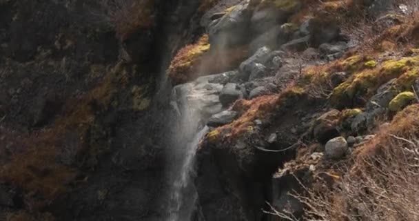 Wodospad w porywach wiatru — Wideo stockowe