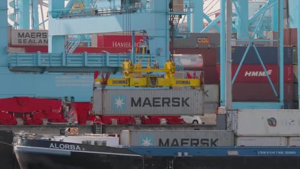 Containers op kraan in de tarminal van de lading — Stockvideo