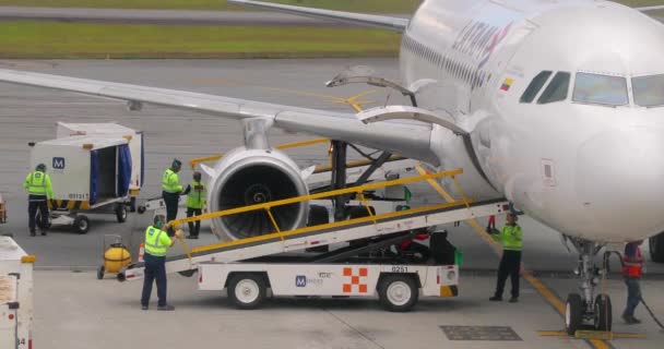 Manuseamento do solo de aeronaves, carregamento de carga — Vídeo de Stock