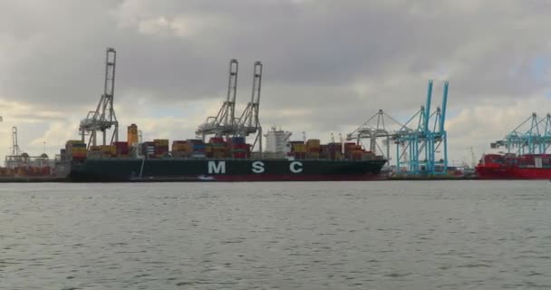 Containerfartyg i Rotterdams hamn — Stockvideo