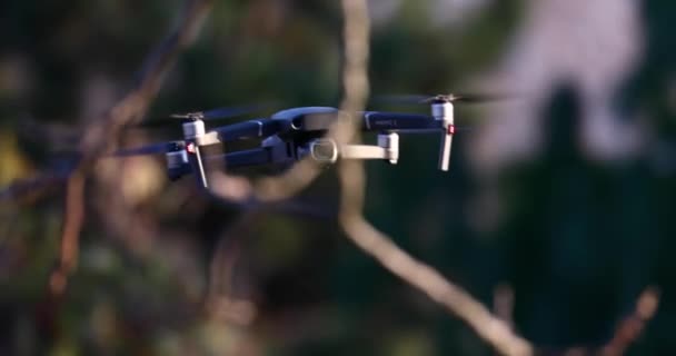 Drone flying outdoors, rising behind branches — Stock Video