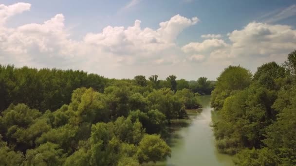 Blick auf die Donau — Stockvideo