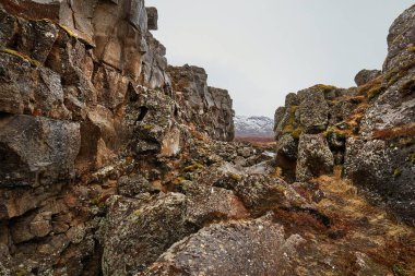 İzlanda 'da kayalık arazisi, yarık vadisi olan bir yer.