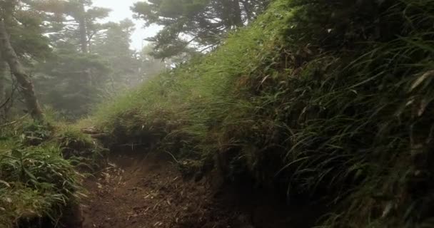 Caminata de montaña en niebla y niebla — Vídeo de stock