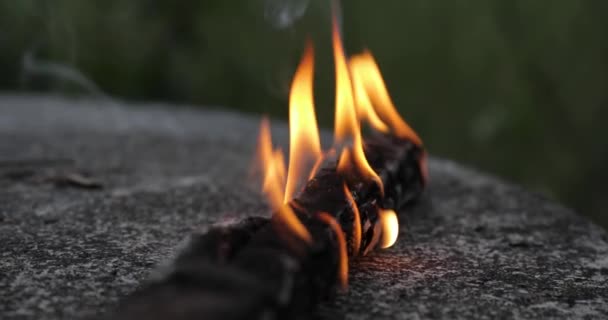 Fuego de campamento llamas — Vídeo de stock