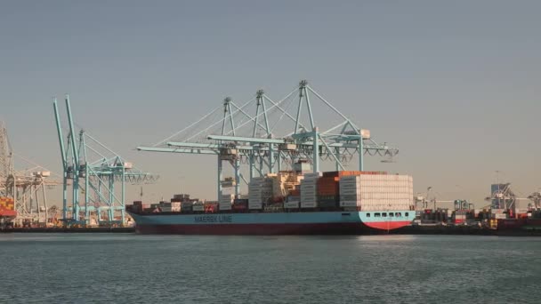 Containerfartyg lastade i Rotterdams hamn — Stockvideo