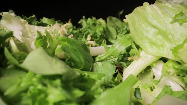 Fresh green salad macro with probe lens — Stock Video