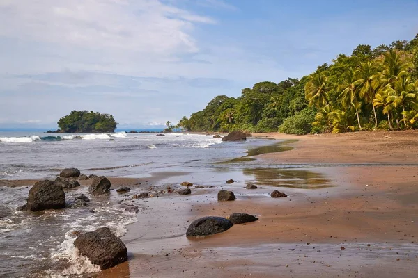 Palmen und Regenwald am Sandstrand des Ozeans — Stockfoto