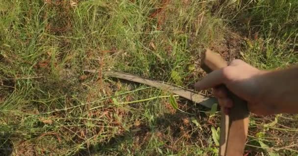 Gebruik van zeis op een veld — Stockvideo