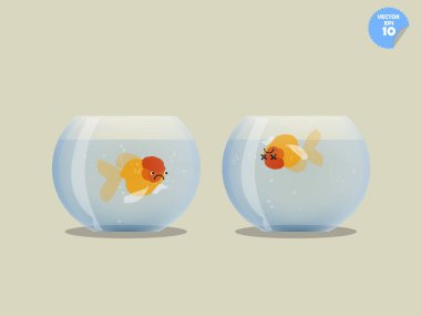 Goldfish kabın içinde başka bir kabın içinde ölü akvaryum balığı izliyor