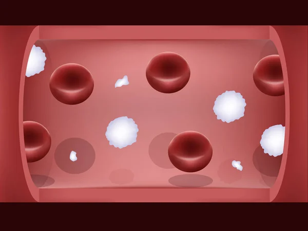 血液系统，内部的血管与血红细胞、 白细胞和血小板的图形设计 — 图库矢量图片