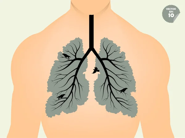 肺の美しいグラフィック デザイン概念ツリーと葉、木のような人間の肺の概念図の分岐をよう — ストックベクタ