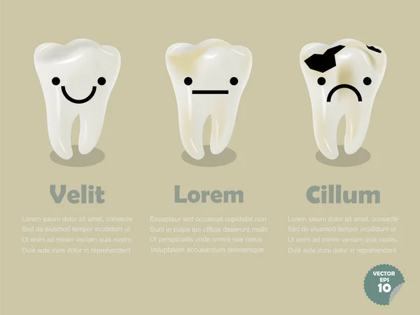 Conjunto de dientes realistas incluyendo dientes sanos y dientes deteriorados, gráficos de información de salud dental — Archivo Imágenes Vectoriales