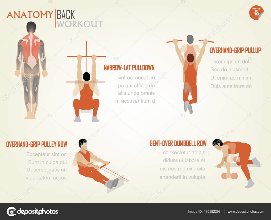 Lat pull dumbbell sale