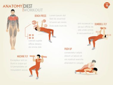 güzel tasarım Infographic göğüs egzersiz oluşur bench press, halter sinek, makine sinek ve itme