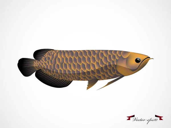 Вектор реалистичного графического дизайна рыб арована — стоковый вектор