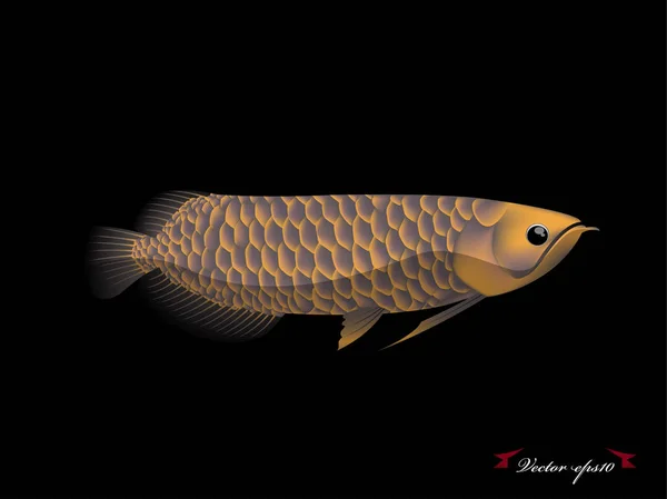 Arowana balık siyah arka plan ile gerçekçi grafik tasarım vektör — Stok Vektör