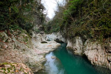 Bir dağ nehri bir kanyonda akıyor..