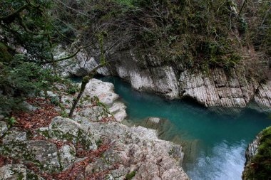Sochi Nati 'deki Khosta nehrinin entrika oymalı karst kıyıları.