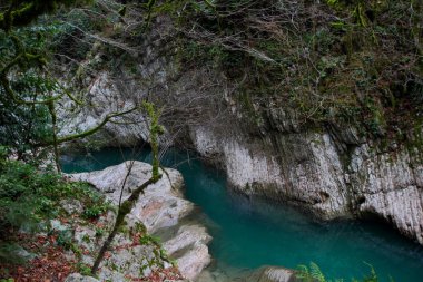 Soçi Milli Parkı 'ndaki Khosta nehrinin hassas kıyıları.