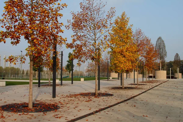 Árvores Outono Com Folhagem Brilhante Uma Cidade Vazia Parque — Fotografia de Stock