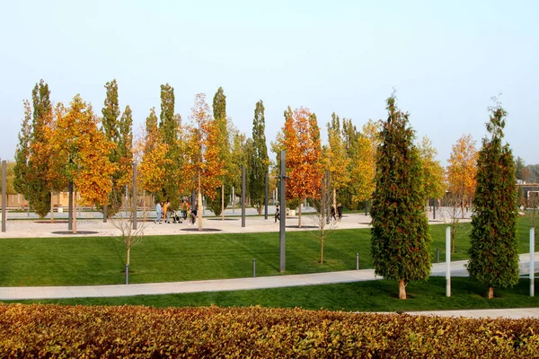 Krasnodar Rusya Ekim 2019 Galiçya Nın Krasnodar Kentindeki Sonbahar Ağaçları — Stok fotoğraf