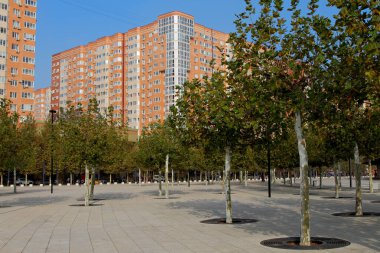 Krasnodar, Rusya - 28 Ekim 2019, Krasnodar kentindeki Galitsky Parkı 'nda düz sıra dekoratif ağaçlar ve yüksek evler.