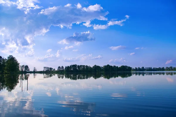 Водное зеркало озера в жаркий летний день — стоковое фото
