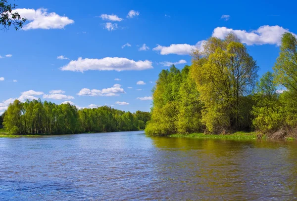 Fluss im Frühling. Zusammensetzung der Natur — Stockfoto