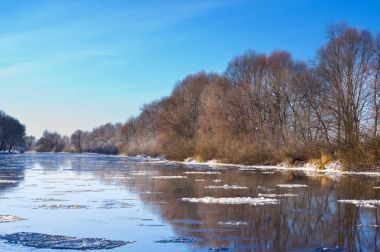 Frost'un nehir kıyısında ağaçlar üzerinde