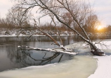 Su nehre ağaçlar eğildi