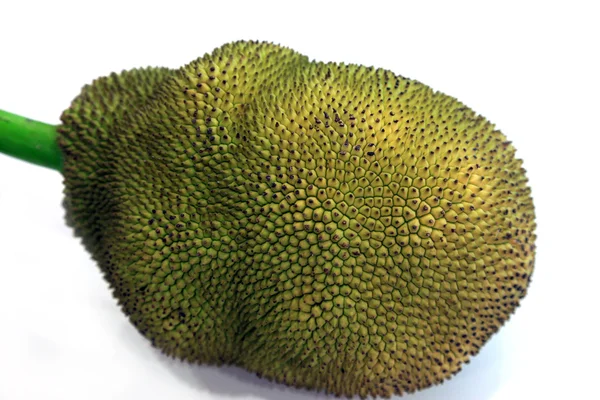 Închiderea jackfruit-ului — Fotografie, imagine de stoc