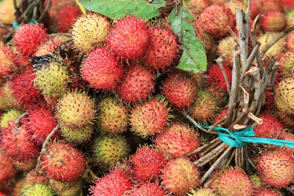 Ramas de la fruta del rambután — Foto de Stock