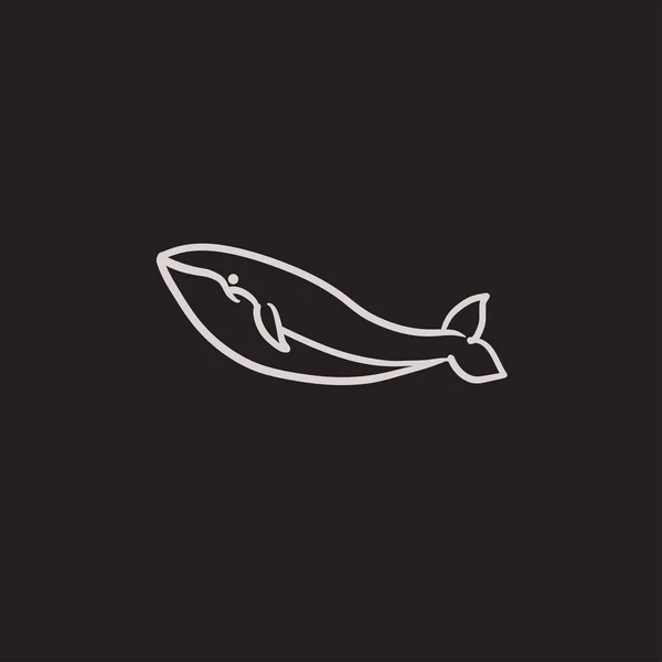 Whale skiss ikon. — Stock vektor