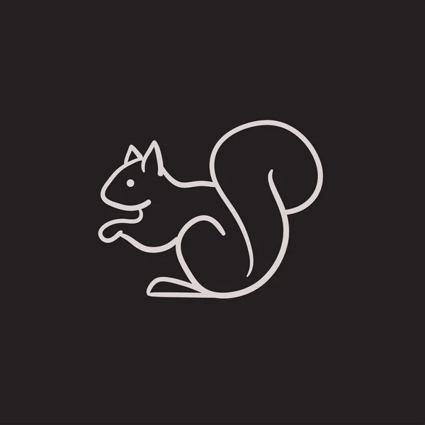 Esquisse d'écureuil icône . — Image vectorielle