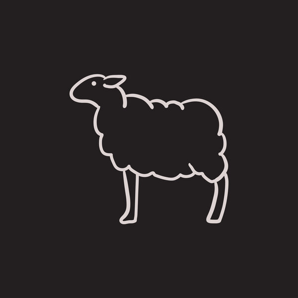 Sheep sketch icon.