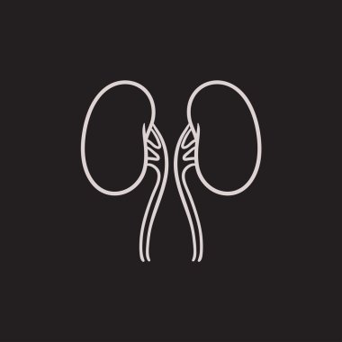 Böbrek kroki simgesi.