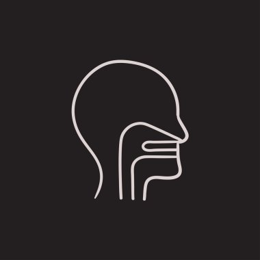 Kulak, burun, boğaz ile insan kafası simgesi kroki.