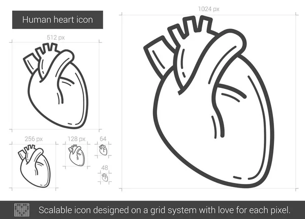 Ícone de linha de coração humano . —  Vetores de Stock