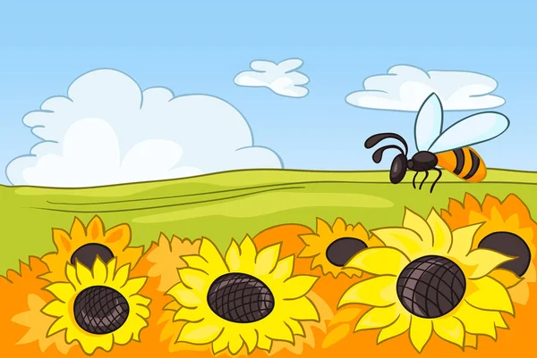 Kreslená pozadí pole s slunečnice. — Stock fotografie