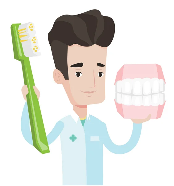 Zubař s modelem zubní čelisti a kartáček. — Stockový vektor