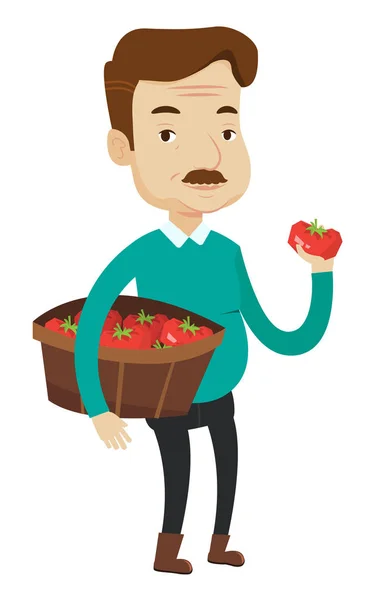 Contadino raccolta di tomatos vettoriale illustrazione . — Vettoriale Stock