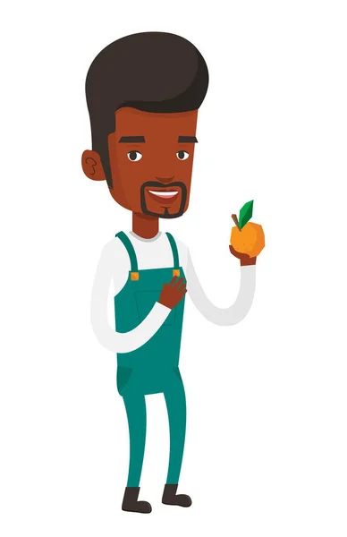 Farmer collecting oranges vector illustration. — Stock Vector