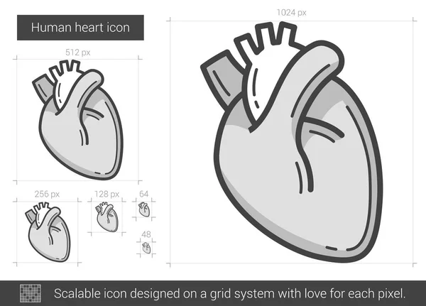 Icona linea del cuore umano . — Vettoriale Stock