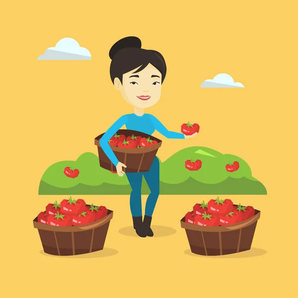 Farmer collecting tomatos vector illustration. — Stock Vector