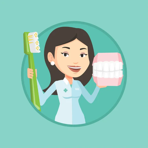 Dentista com modelo de mandíbula dental e escova de dentes . —  Vetores de Stock